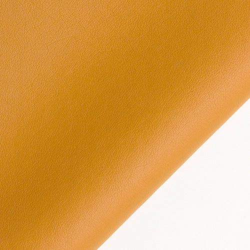mostra gazelle