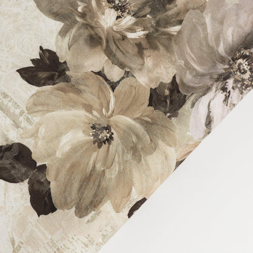 Δείγμα spring