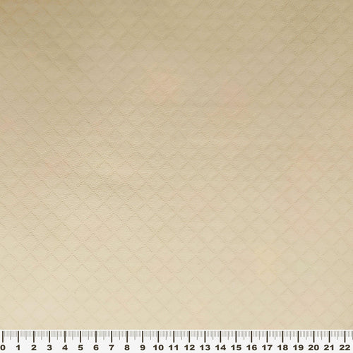 δείγμα <tc>alya</tc>