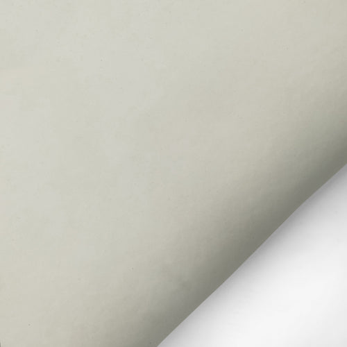 Δείγμα Plain