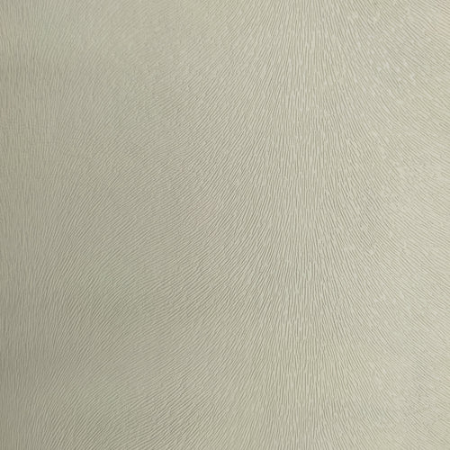 Δείγμα Tay Plain