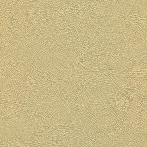 Δείγμα venus